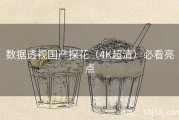 数据透视国产探花（4K超清）必看亮点