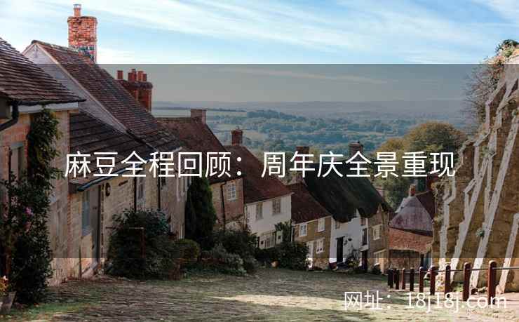 麻豆全程回顾：周年庆全景重现