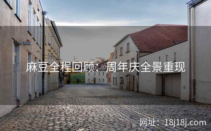 麻豆全程回顾：周年庆全景重现