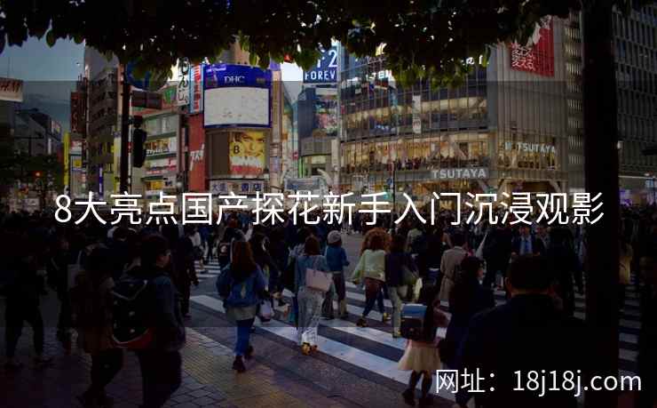 8大亮点国产探花新手入门沉浸观影