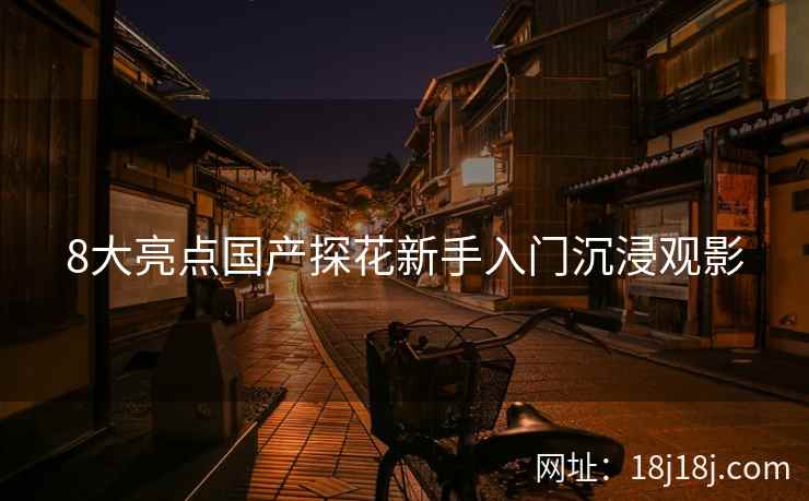 8大亮点国产探花新手入门沉浸观影