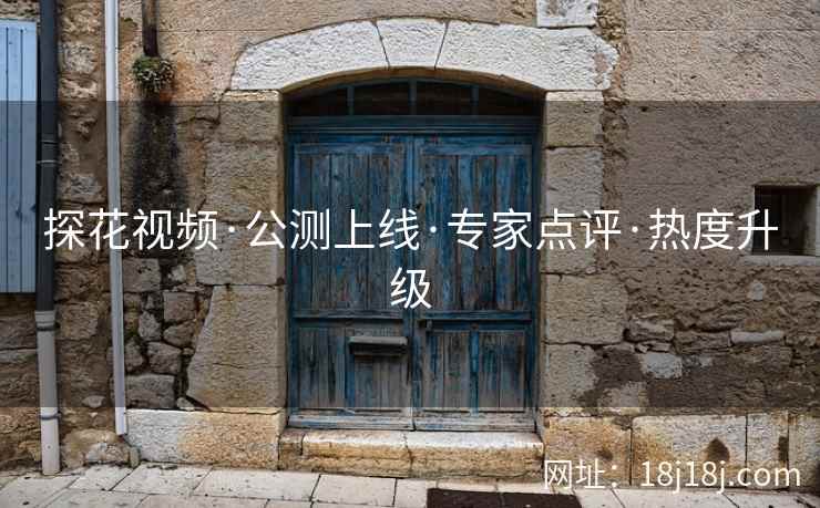 探花视频·公测上线·专家点评·热度升级