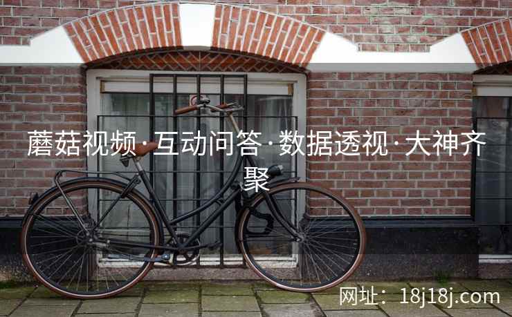 蘑菇视频·互动问答·数据透视·大神齐聚