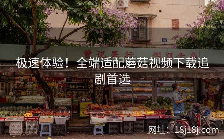 极速体验!全端适配蘑菇视频下载追剧首选 极速体验!全端适配蘑菇视频下载追剧首选