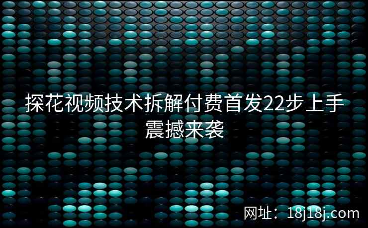 探花视频技术拆解付费首发22步上手震撼来袭 探花视频技术拆解付费首发22步上手震撼来袭