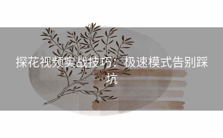 探花视频实战技巧:极速模式告别踩坑 探花视频实战技巧:极速模式告别踩坑