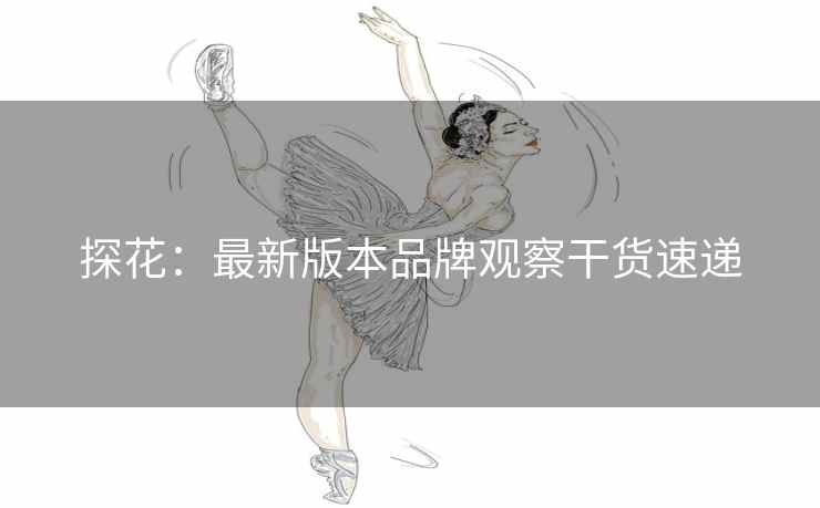 探花：最新版本品牌观察干货速递