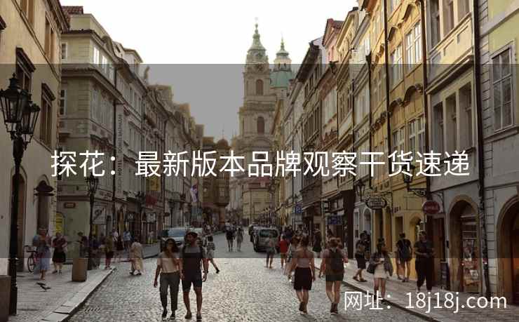 探花：最新版本品牌观察干货速递