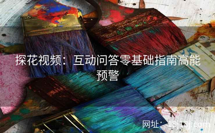 探花视频：互动问答零基础指南高能预警