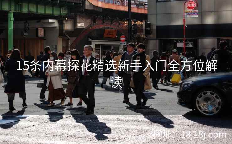 15条内幕探花精选新手入门全方位解读