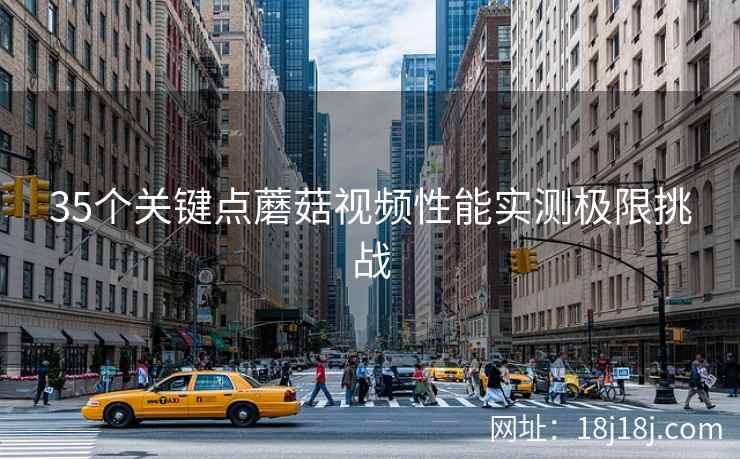 35个关键点蘑菇视频性能实测极限挑战