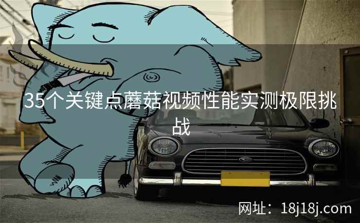 35个关键点蘑菇视频性能实测极限挑战