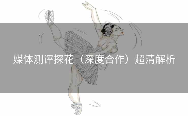 媒体测评探花（深度合作）超清解析