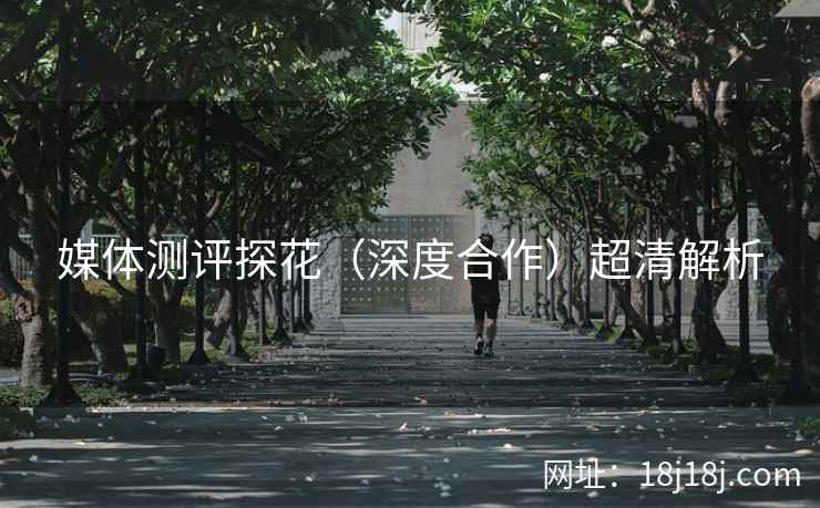 媒体测评探花（深度合作）超清解析