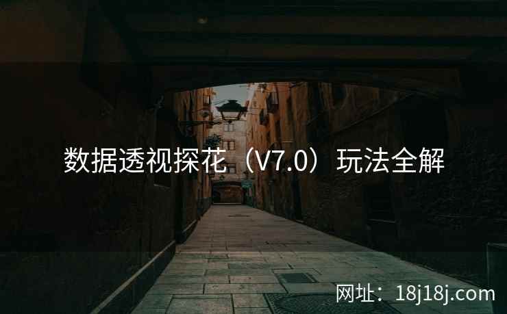 数据透视探花(V7.0)玩法全解 数据透视探花(V7.0)玩法全解