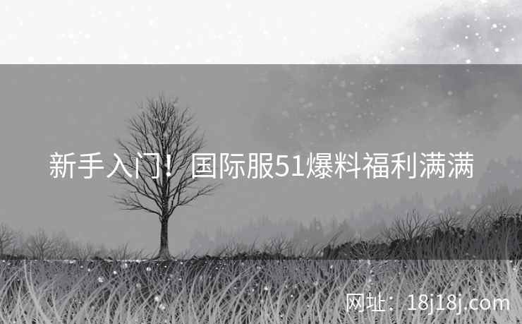 新手入门！国际服51爆料福利满满