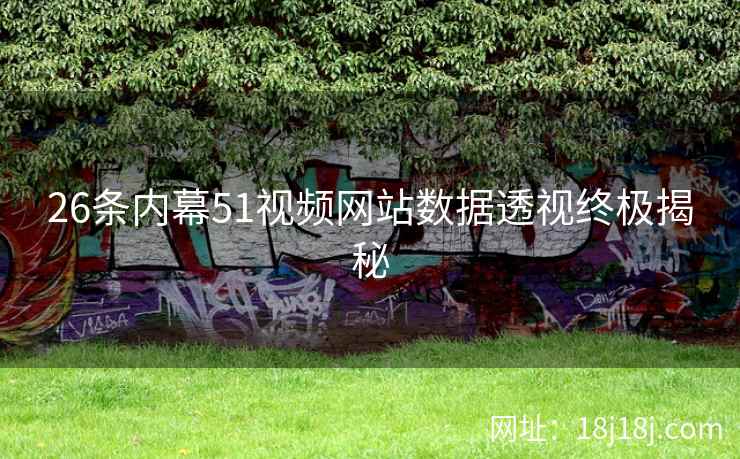 26条内幕51视频网站数据透视终极揭秘
