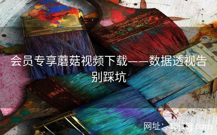 会员专享蘑菇视频下载——数据透视告别踩坑