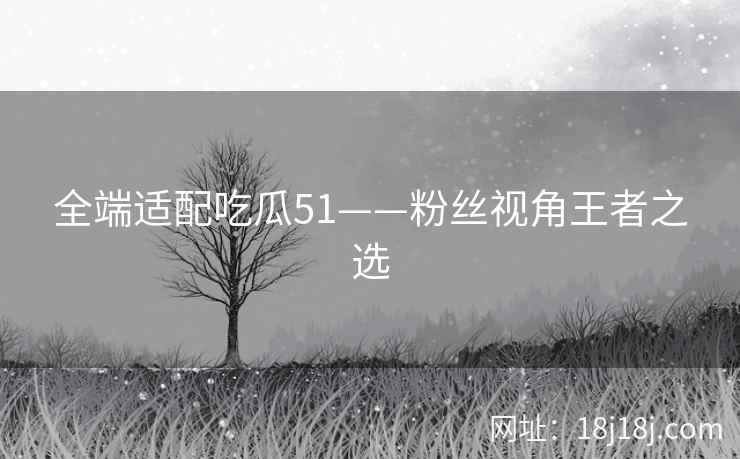 全端适配吃瓜51——粉丝视角王者之选